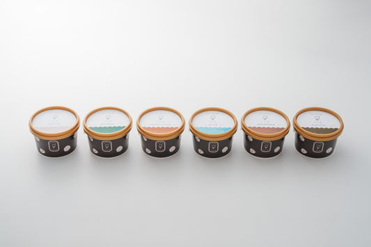 人気フレーバー6種セット